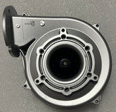 NRG118/0800-3612-030304-170